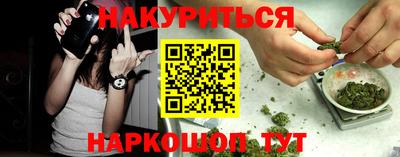 сатива Краснодар