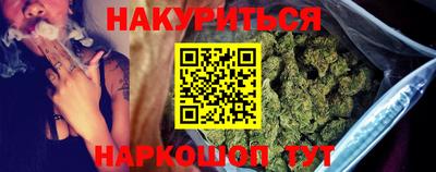 сатива Краснодар