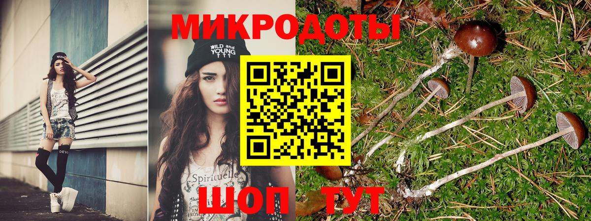 Тимашёвск  Галлюциногенные грибы MAGIC MUSHROOMS  Псилоцибиновые грибы прущие грибы  Вход с VPN 